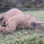 बड़ी खबर : नहीं थम रहा हथियों की मौत का सिलसिला, प्रदेश में एक और मौत