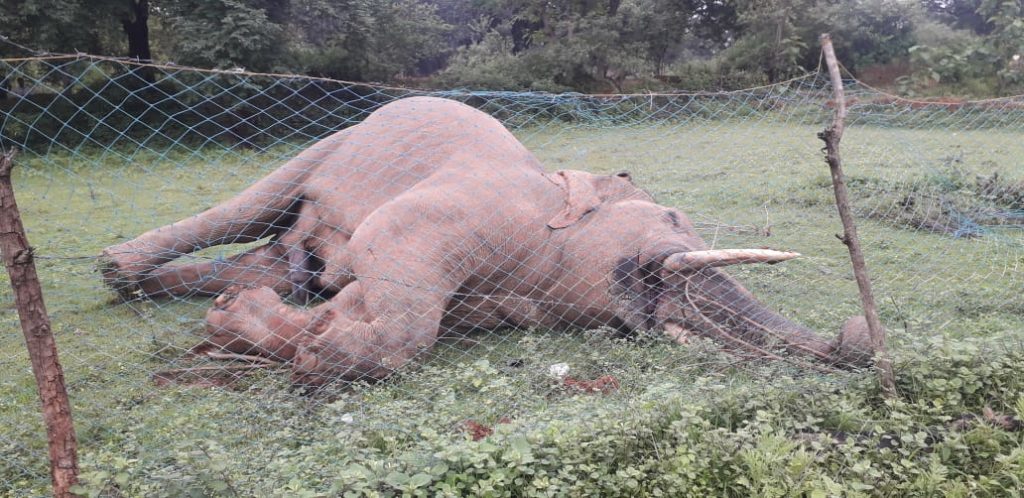 बड़ी खबर : नहीं थम रहा हथियों की मौत का सिलसिला, प्रदेश में एक और मौत
