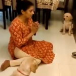 VIRAL VIDEO : देसी महिला ने कुत्तों को सिखाया खाने से पहले प्रार्थना करना, दिल जीत लेगा Video