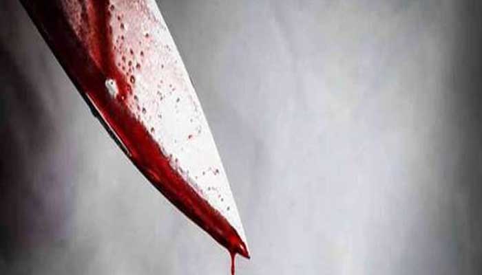 राजधानी में हिस्ट्रीशीटर ने, दो भाईयों को घोंपा चाकू