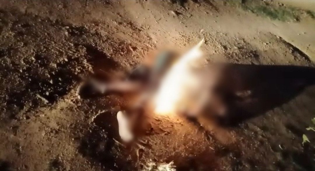 CG BIG NEWS : महिला ने खुद पर मिट्टी तेल डालकर लगाई आग, हुई दर्दनाक मौत, जांच में जुटी पुलिस