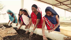 विशेष लेख : गौठानों से जुड़कर स्व सहायता समूह की महिलाएं संवार रहीं अपना भविष्य, गोधन न्याय योजना बना रोजगार का जरिया