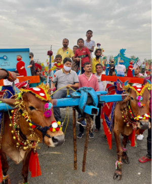 महापौर एजाज ढेबर ने पोला पर्व पर रावणभाठा मैदान में की बैलों की पूजा