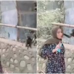 VIRAL VIDEO : लड़की को बंदर के साथ फोटो खिंचवाना पड़ा मंहगा