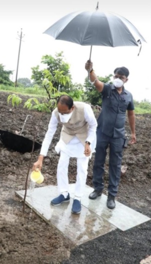 बारिश में छाता लेकर पौधे को पानी दे रहे मुख्यमंत्री, सोशल मीडिया में हुए ट्रॉल, लोग बोले- ये क्या था ? 