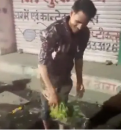 BIG NEWS : गटर के गंदे पानी से धुली सब्जी तो नहीं खा रहे आप! आरोपी विक्रेता को तलाश रही पुलिस