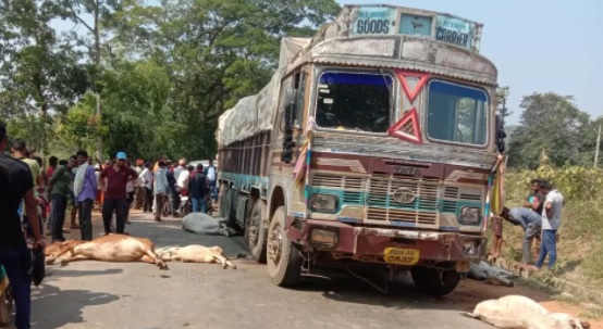 CG BIG NEWS : तेज रफ्तार ट्रक ने बेजुबानों को रौंदा, 10 गायों की मौके पर मौत, चालक की सरगर्मी से तलाश जारी