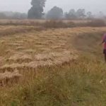 CG NEWS : प्रदेश में रुक-रुक कर हो रही बारिश से बढ़ी किसानों की चिंता, जल्द धान खरीदने की कर रहे मांग