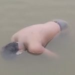 तालाब में तैरते मिली युवक की लाश, कोतवाली पुलिस ने दर्ज किया अपराध