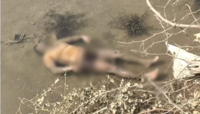 CG NEWS : नदी में तैरती मिली अज्ञात युवक की लाश, इलाके में फैली सनसनी