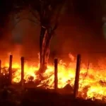 BIG NEWS : बिलासपुर के मोपका धान खरीदी केंद्र में लगी भीषण आग, हजारों क्विंटल अनाज खाक