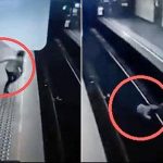 OMG : शख्स ने ट्रेन के सामने महिला को फेंका, फिर जो हुआ... देखें रौंगटे खड़े कर देने वाला VIDEO 