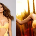 Vaani Kapoor ने बिखेरा हुश्न का जलवा, दिए बेहद BOLD पोज, देख कर हो जायेंगे मदहोश  