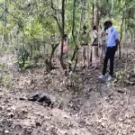 CG NEWS : जंगल में मिली युवक की अधजली लाश, बुरी तरह कुचला मिला चेहरा, जांच में जुटी पुलिस 