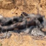 CG CRIME NEWS : बोरे से ढकी मिली युवक की जली हुई लाश, इलाके में फैली सनसनी 