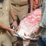 CRIME NEWS : संदिग्ध अवस्था में मिली BJP के नेता की लाश, जांच में जुटी पुलिस 