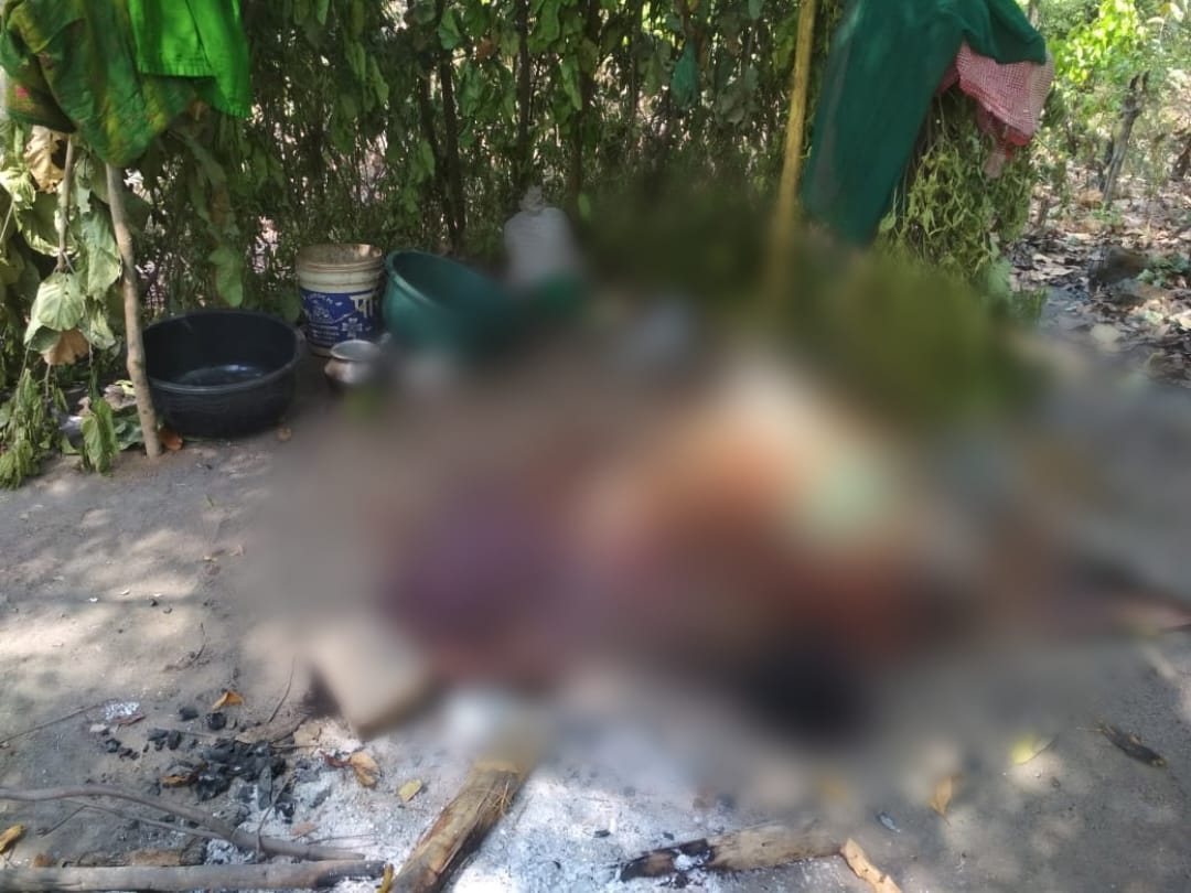 CG BIG BREAKING : महुआ बीनने गए परिवार की निर्मम हत्या, पत्थर से कुचल कर आरोपी ने तीन लोगों को मौत के घाट उतारा, जांच में जुटी पुलिस