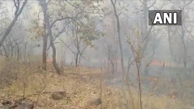 जंगल में लगी भीषण आग : वन कर्मियों के हड़ताल से भगवान भरोसे सुरक्षा