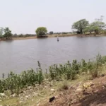 CG NEWS : नहाने के दौरान तालाब में डूबने से दो सगे भाइयों की मौत, पसरा मातम 