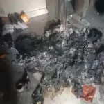 CG NEWS : वरिष्ठ कांग्रेस नेता के ऑफिस में चोरों ने लगाई आग, फिर चोरी कर हुए फरार