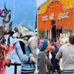 नोएडा का शख्स कुत्ते को ले गया केदारनाथ धाम, मंदिर कमेटी ने दर्ज कराई FIR