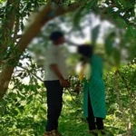 CG NEWS : प्रेमी जोड़े ने उठाया खौफनाक कदम, जंगल में फंदे पर लटकती मिली लाश 