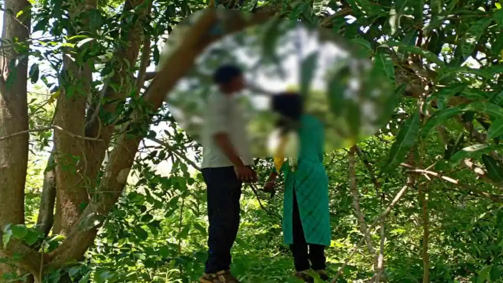 CG NEWS : प्रेमी जोड़े ने उठाया खौफनाक कदम, जंगल में फंदे पर लटकती मिली लाश 