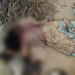   CG CRIME NEWS : बेटे की मोच पर उपजा विवाद, पति ने कुल्हाड़ी मारकर की पत्नी की निर्मम हत्या, आरोपी गिरफ्तार 