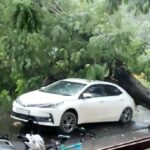 RAIPUR BREAKING : राजधानी के इस पॉस इलाके में कार पर गिरा विशालकाय पेड़, मौके पर निगम की टीम 