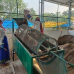  CG NEWS : हरेली से होगी गौ-मूत्र खरीदी की शुरूआत, गोबर खरीदी के एवज में अब तक पशुपालकों और ग्रामीणों को 153.44 करोड़ रूपए का भुगतान