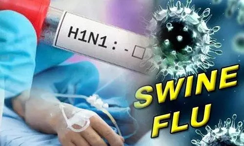 BIG NEWS : छत्तीसगढ़ में बढ़ा स्वाइन फ्लू का खतरा, राजधानी सहित इन जिलों में मिले 11 मरीज, स्वास्थ्य विभाग में मचा हड़कंप  
