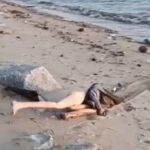  OMG : रेत पर मिली बिना कपड़ो के युवती की लाश !, जब पुलिस ने किया मुआयना तो निकली कीमती सेक्स डॉल