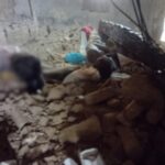 CG NEWS : दीवार गिरने से पूरे परिवार की मौत, बच्ची को बचाने माँ ने किया प्रयास, दफन मिली 5 लोगों की लाश 