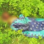 CG CRIME NEWS : महिला की गला रेतकर हत्या, इलाके में फैली सनसनी, दुष्कर्म की भी आशंका 