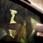  OMG : कार में SEX कर रहे कपल ! गाड़ी - पैसे सहित कपड़े उड़ा ले गए चोर, सड़क पर छोड़ा नंगा
