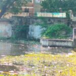 SAKTI NEWS : नगर के तालाबों में गंदगी की भरमार, छठ पूजा की कोई तैयारी नहीं