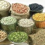 CG NEWS : किसानों के हित में मुख्यमंत्री भूपेश बघेल का बड़ा निर्णय, अरहर, मूंग एवं उड़द की फसल की समर्थन मूल्य में खरीदी की हुई शुरूआत