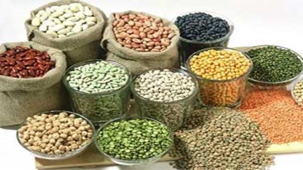 CG NEWS : किसानों के हित में मुख्यमंत्री भूपेश बघेल का बड़ा निर्णय, अरहर, मूंग एवं उड़द की फसल की समर्थन मूल्य में खरीदी की हुई शुरूआत