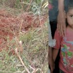 CG Crime News: 6-year-old kidnapped and murdered, killed and buried 100 meters away from home, police engaged in investigation