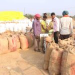 Purchase of paddy: 38.24 lakh metric tonnes of paddy procured so far in the state, 21.06 lakh metric tonnes lifted