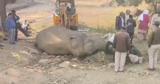 CG Big News: Big update on elephant's death: It was electrocuted.