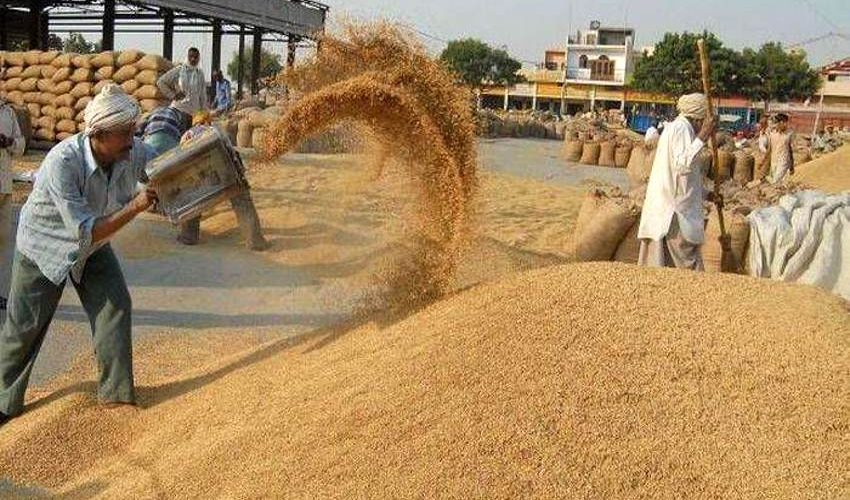 CG News : For the convenience of the villagers-farmers, two more new paddy procurement centers opened in the district, the number of procurement centers increased to 162
