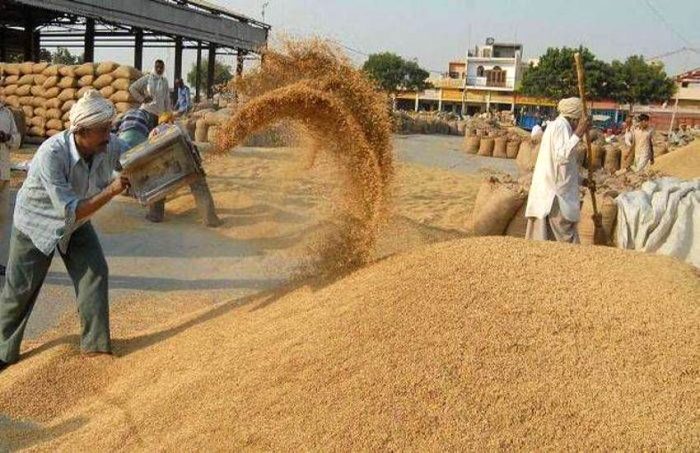CG News : For the convenience of the villagers-farmers, two more new paddy procurement centers opened in the district, the number of procurement centers increased to 162