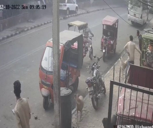 VIRAL VIDEO : अनियंत्रित कार ने तीन बच्चों को रौंदा, देखें दिल दहला देने वाला वीडियो 