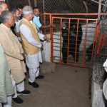 CG NEWS : मुख्यमंत्री भूपेश बघेल ने श्री चंडी माता मंदिर में किए दर्शन, भालुओं से भी हुआ आमना सामना 