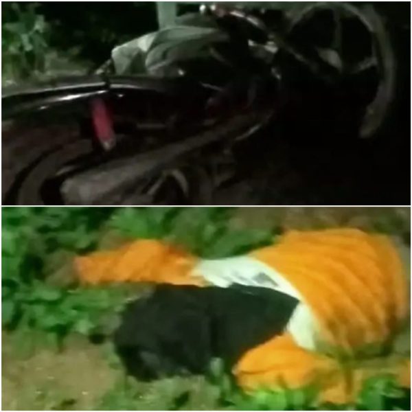 CG ACCIDENT NEWS : टाटा मैजिक और बाइक की जोरदार भिड़ंत, दो युवकों की मौके पर मौत