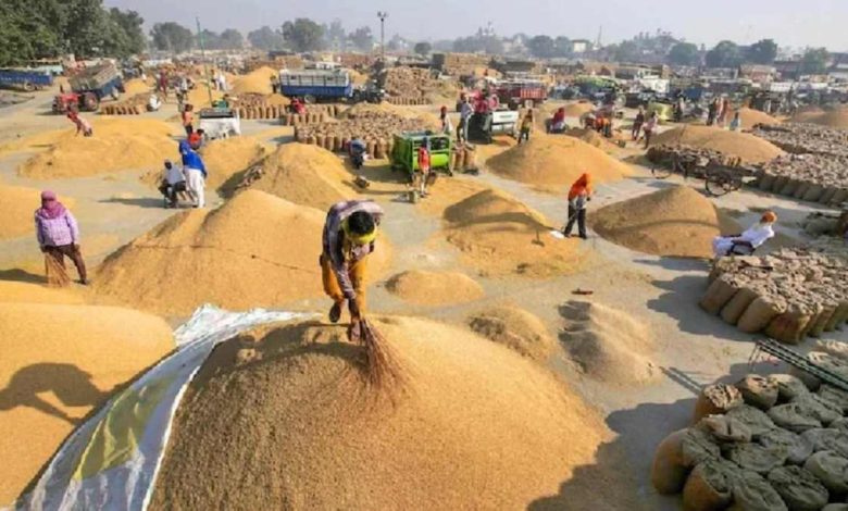 Paddy purchase campaign: So far 63.86 lakh metric tonnes of paddy has been procured on the support price in Chhattisgarh, 38.55 lakh metric tonnes of paddy has been lifted