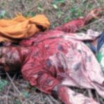 MP News: Tiger attacked a woman working in the field, died..