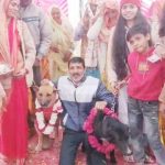 Dog Marriage : धूमधाम और गाजे-बाजे के साथ हुई कुत्ता और कुत्तिया की शादी, टॉमी बना दूल्हा और जैली बनी दुल्हन, देखें VIDEO 