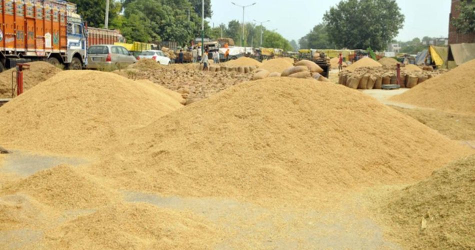Buy paddy: Purchase of 95.29 lakh metric tonnes of paddy from farmers on support price, lifting of 70 lakh metric tonnes for custom milling